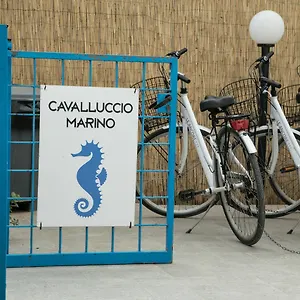 Cavalluccio Marino Favignana